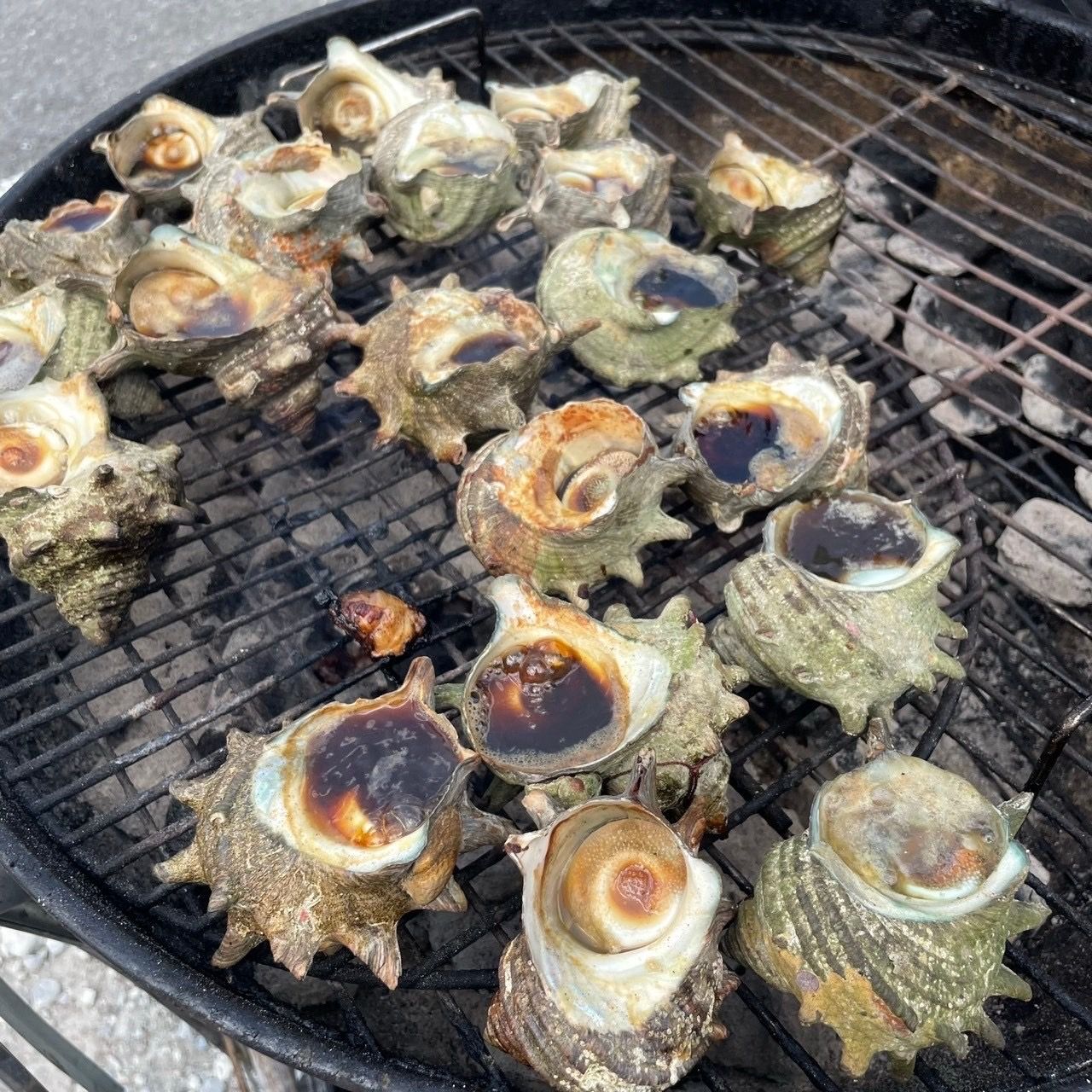 海鮮BBQ（サザエ等）